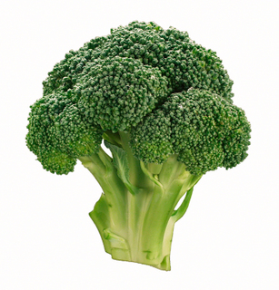 26436919_Broccoli