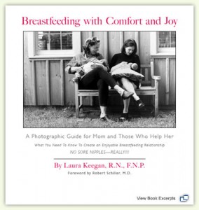 breastfeeding book comfort joy